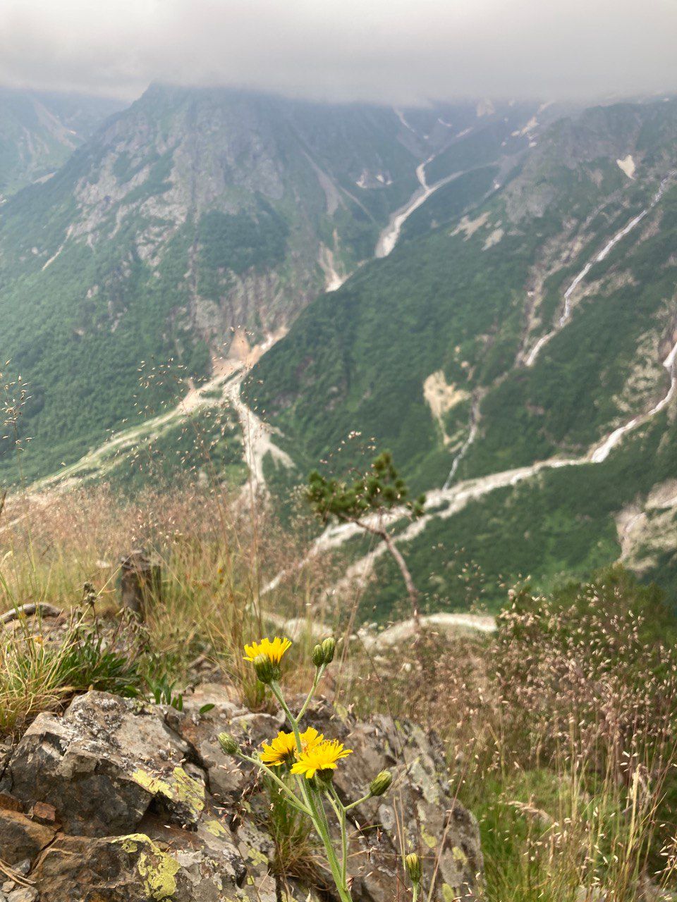 В горах мое сердце 