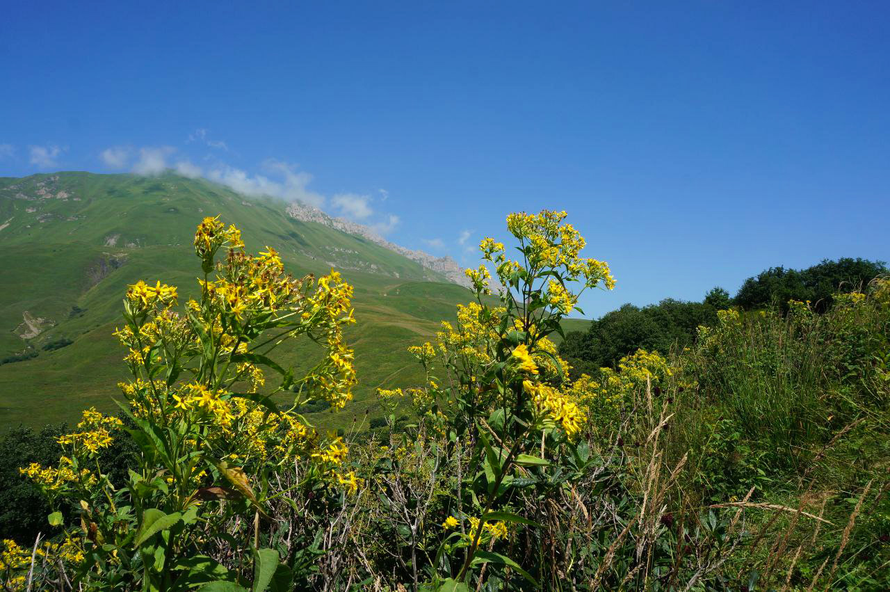 Выходные в Северной Осетии (2/13)