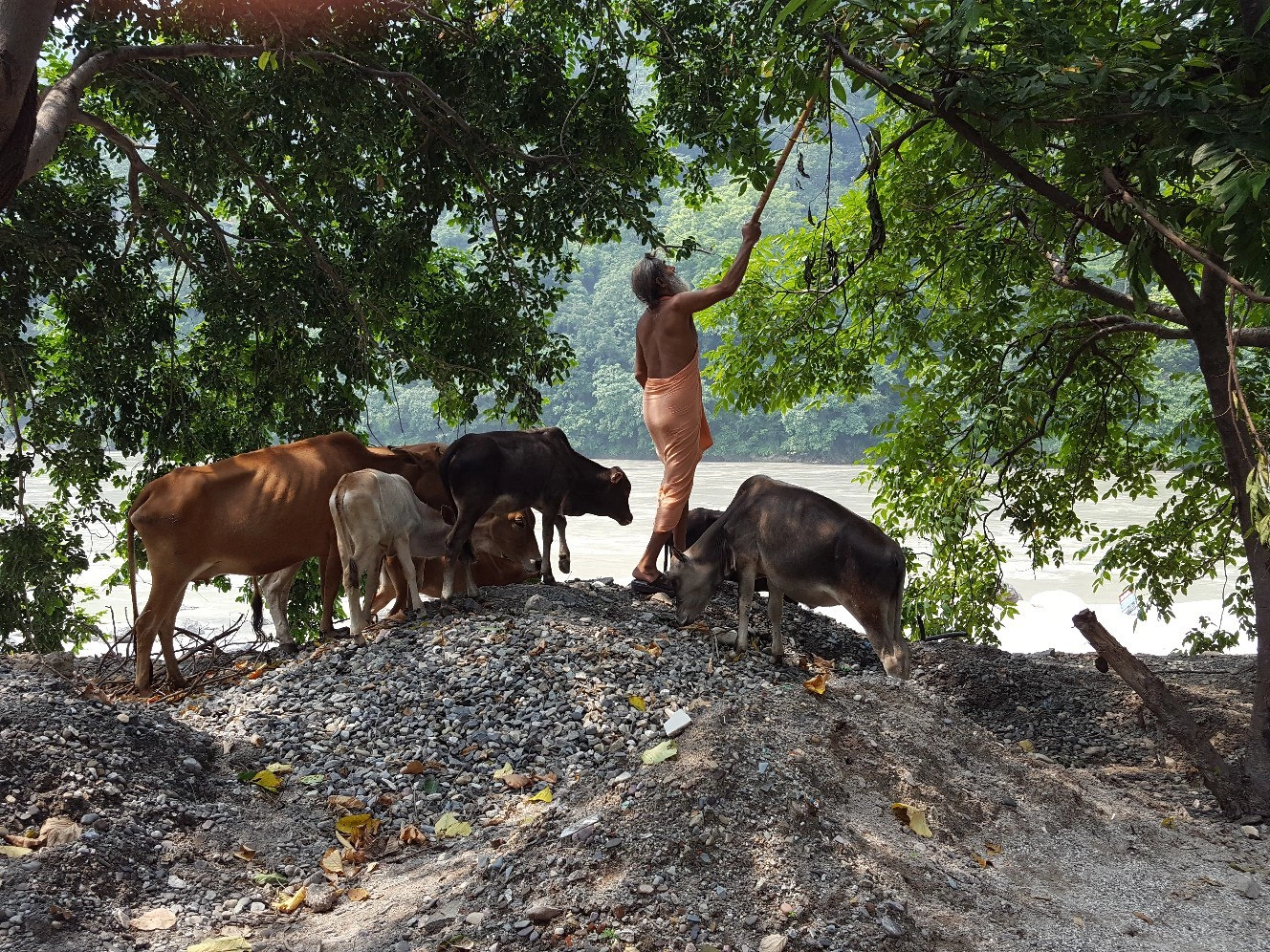 Гималаи: Земля Богов (10/79)