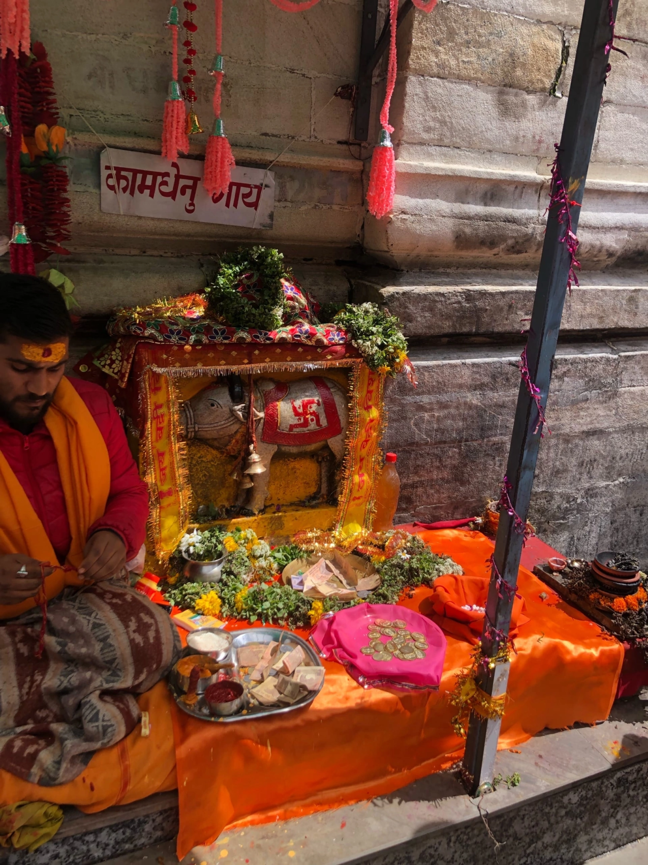 Гималаи: Земля Богов (22/79)