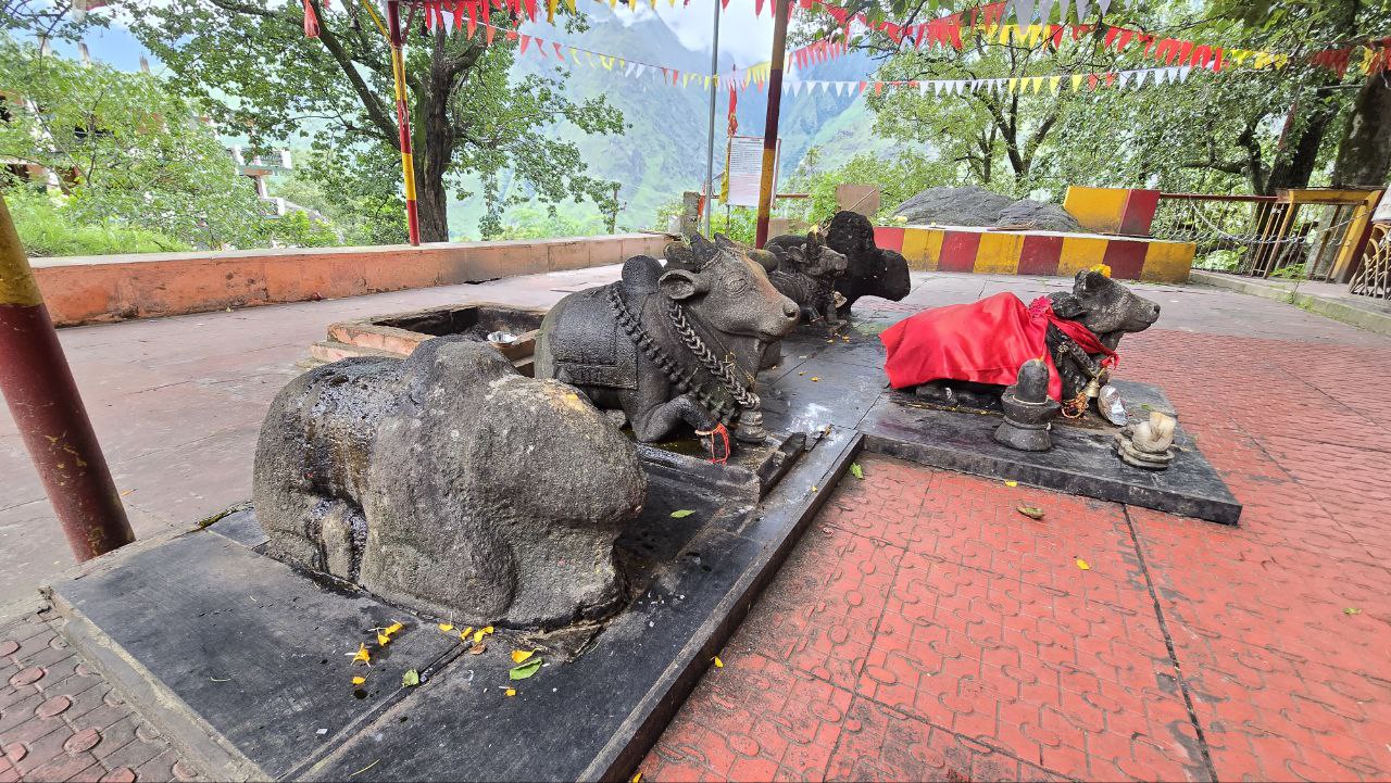 Гималаи: Земля Богов (38/79)