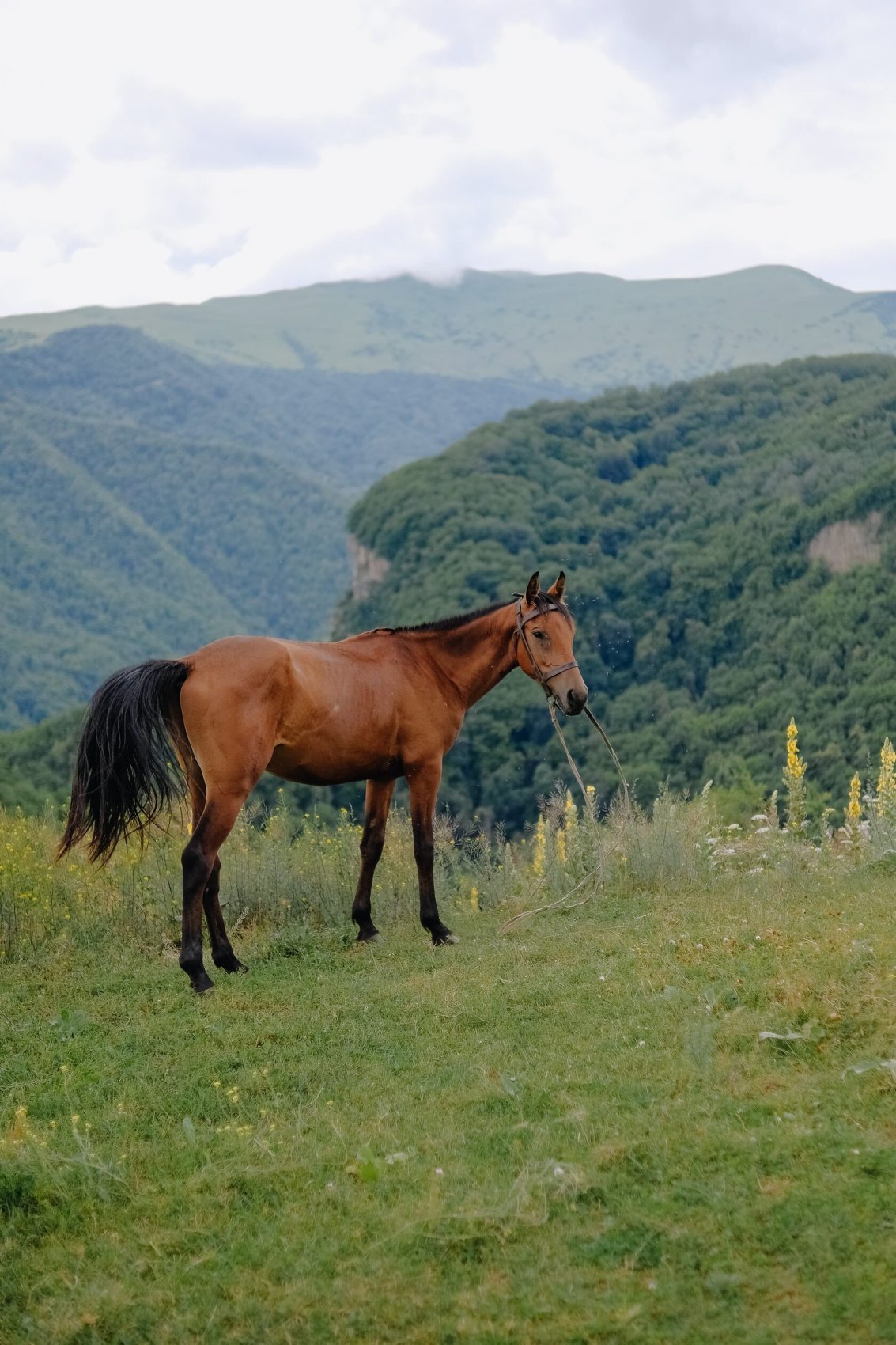 Дагестан все включено 5 дней (3/36)