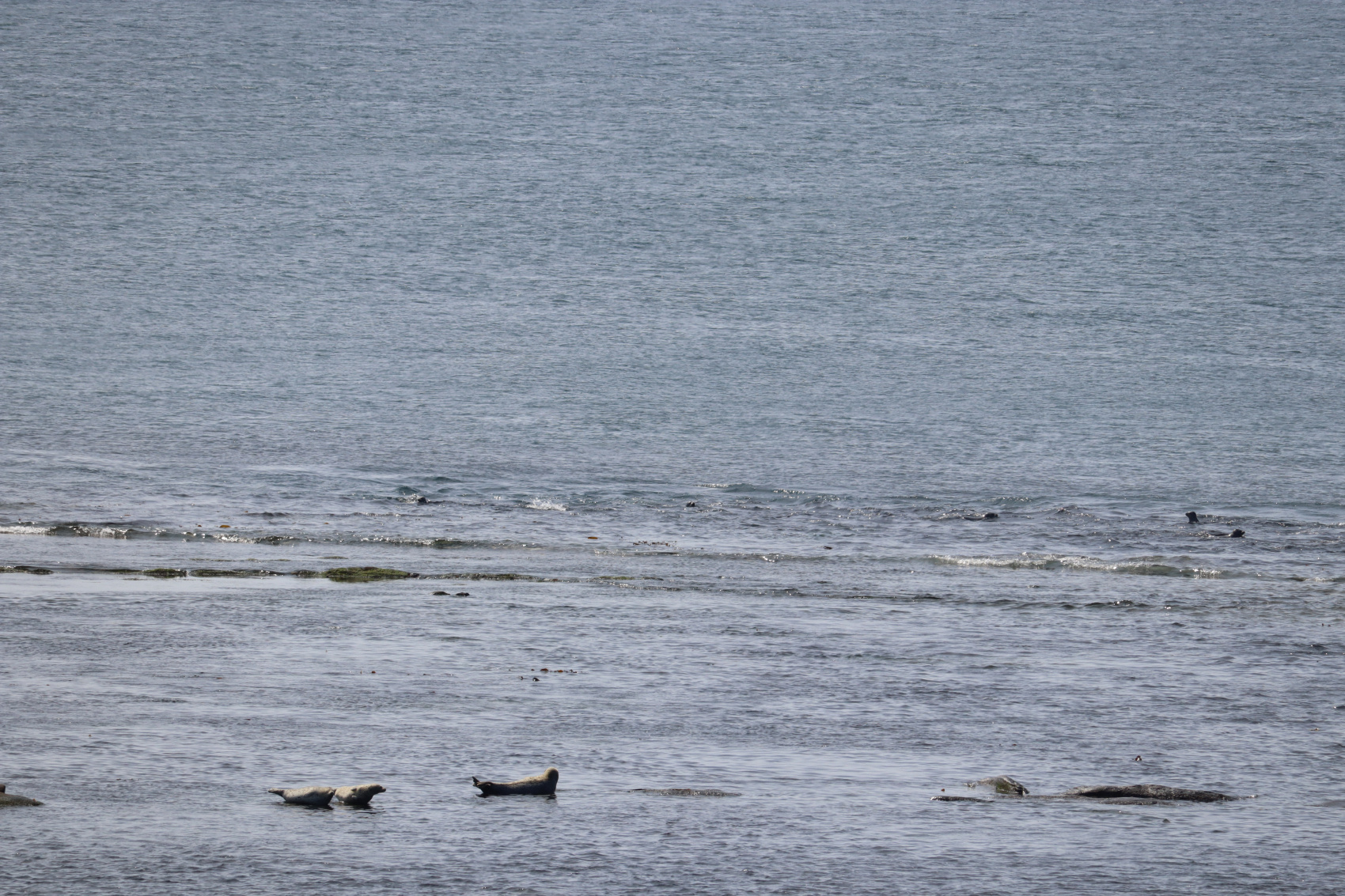 Камчатка. Лошади, вулканы и океан! (12/37)