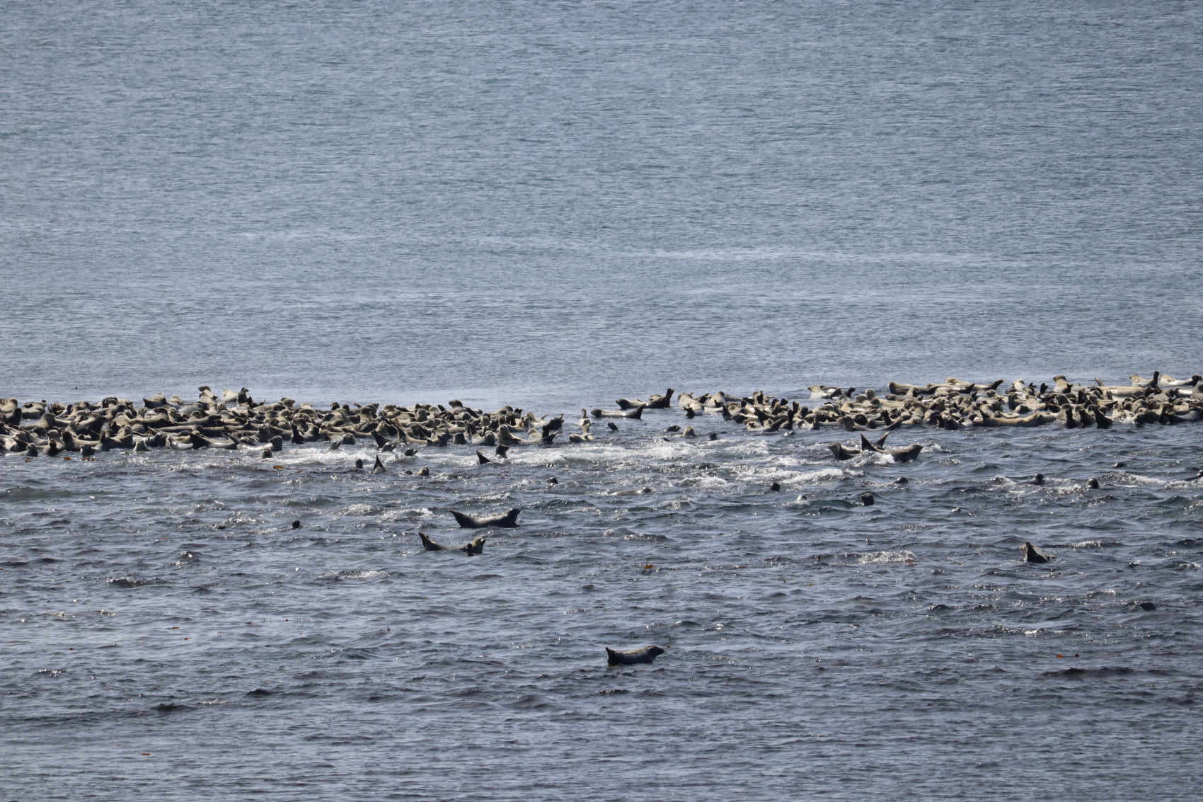 Камчатка. Лошади, вулканы и океан! (3/37)