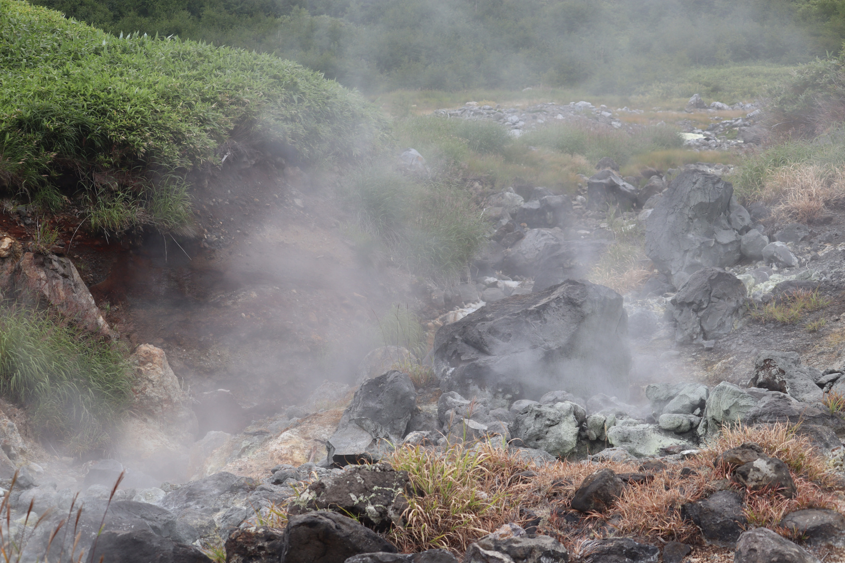 Камчатка. Лошади, вулканы и океан! (16/37)