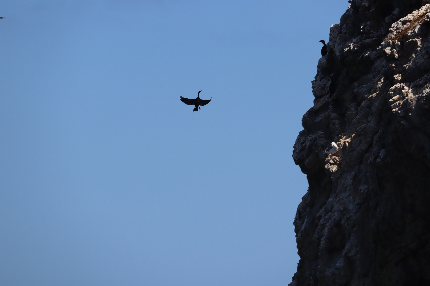 Камчатка. Лошади, вулканы и океан! (5/37)