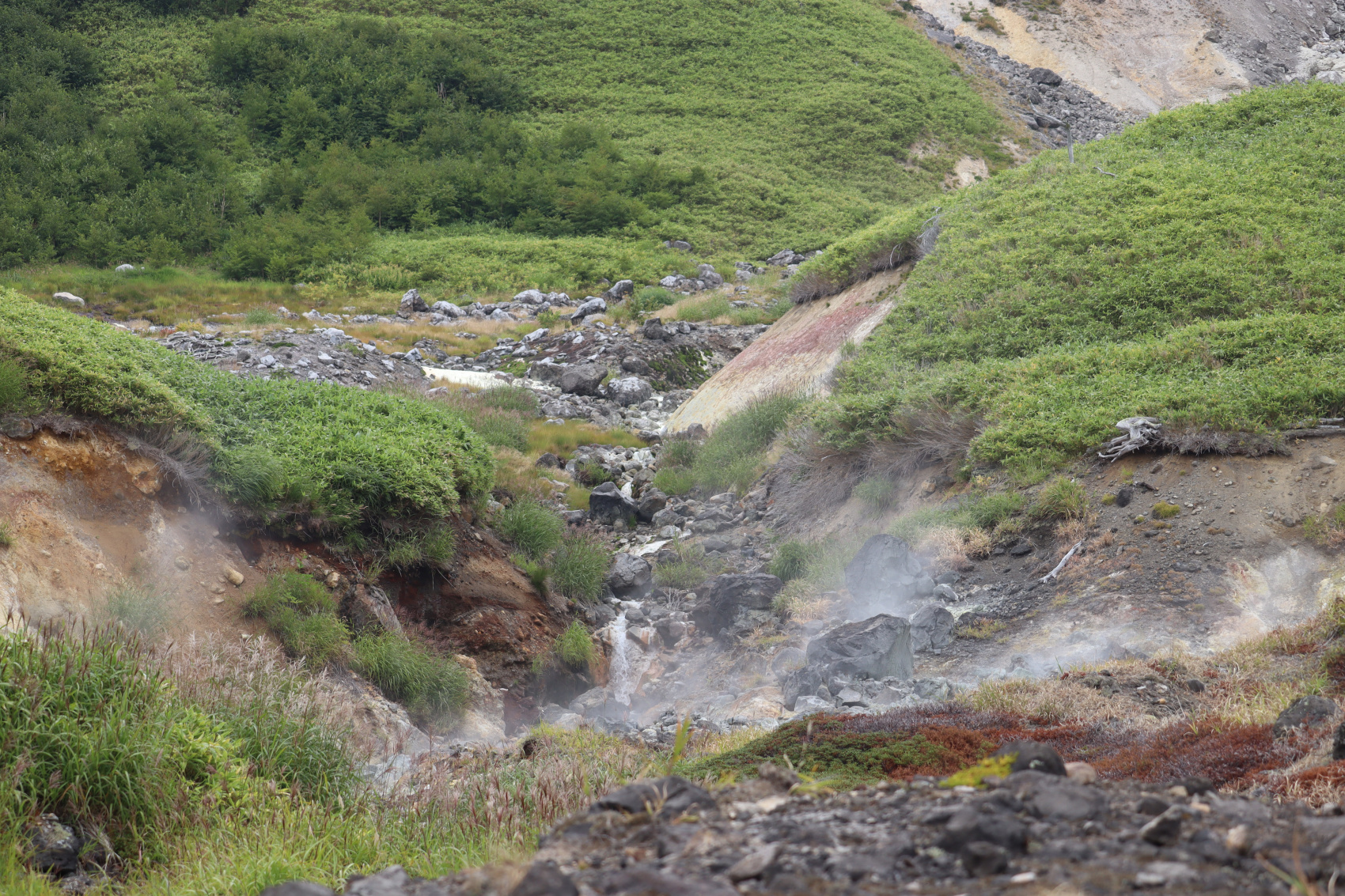 Камчатка. Лошади, вулканы и океан! (14/37)