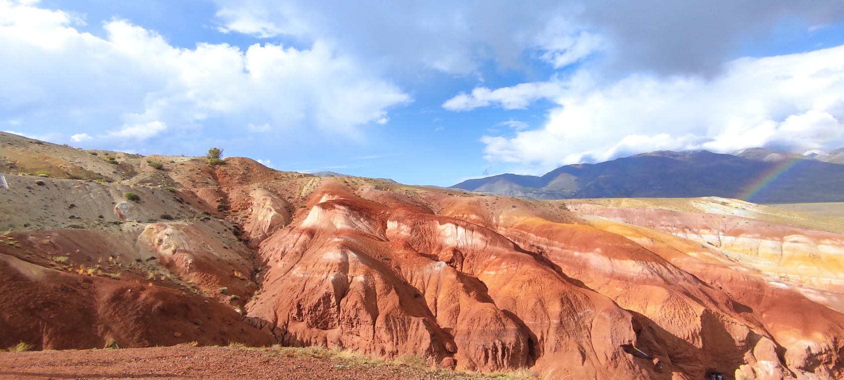 Цветение Маральника - Сиреневые горы Алтая
