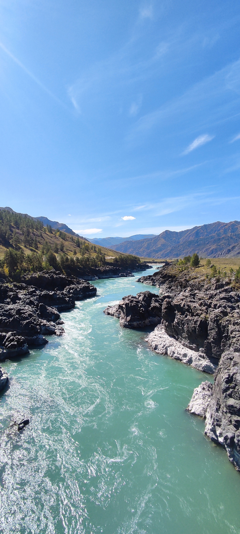 Цветение Маральника - Сиреневые горы Алтая (4/18)