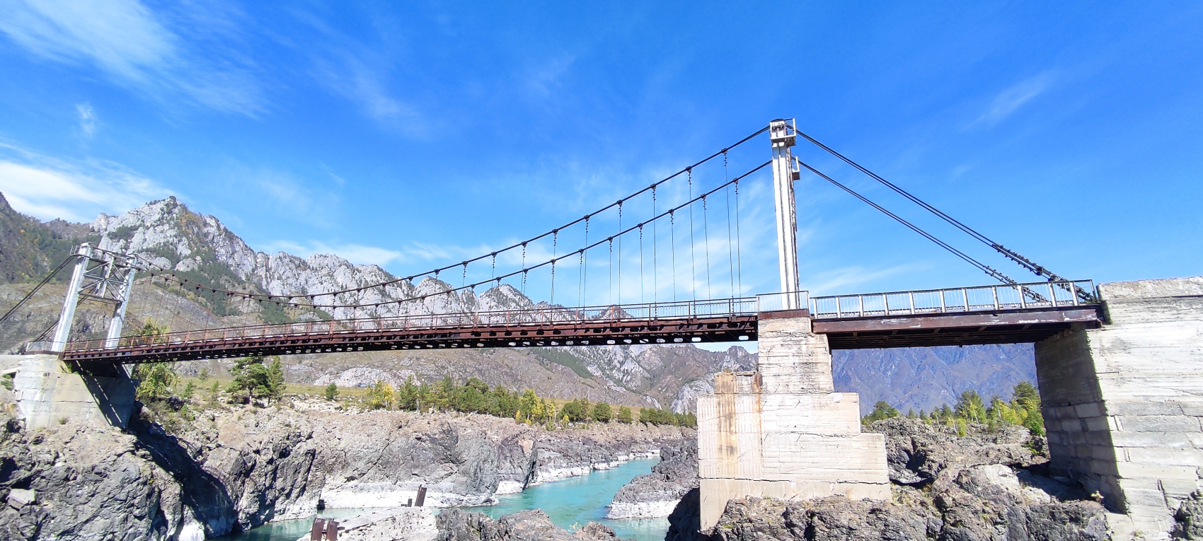 Цветение Маральника - Сиреневые горы Алтая (5/18)