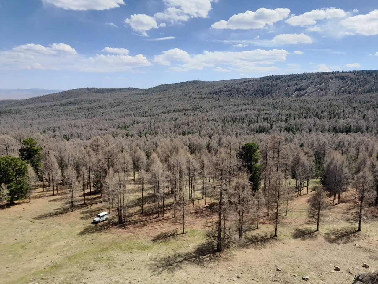 Настоящая Монголия (13/30)