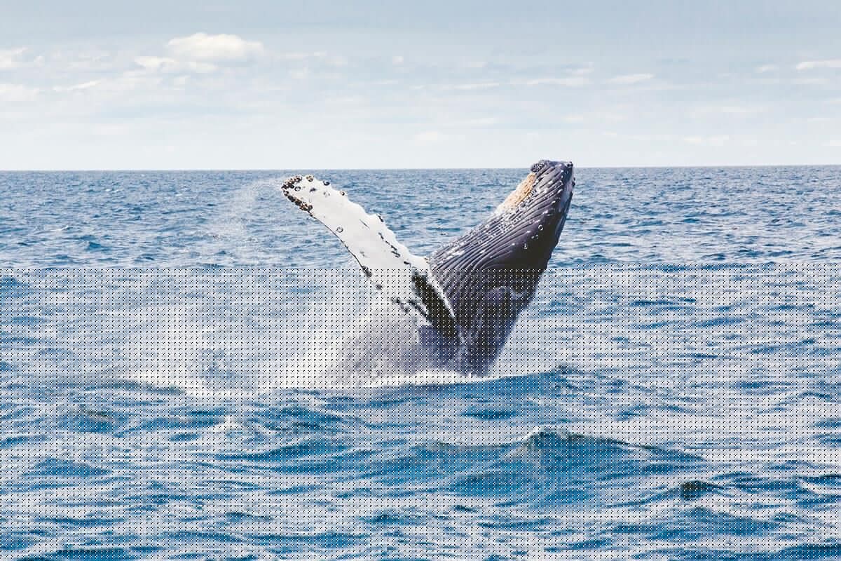 Мурманская область (8/21)