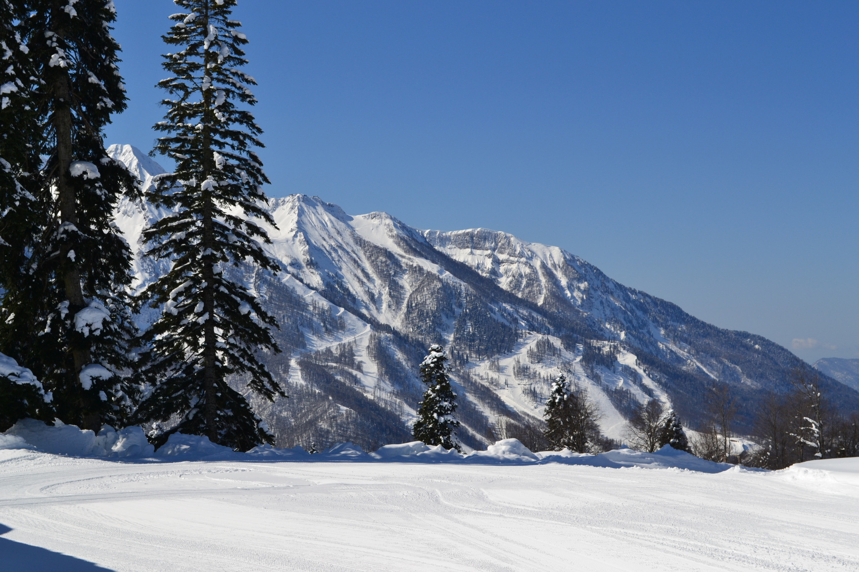 Тур на беговых лыжах в Красной Поляне (Сочи, ТОП отель Поляна 1389) (7/8)