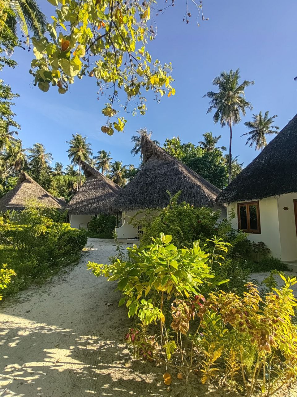 Активные Мальдивы - 7 островов (34/109)