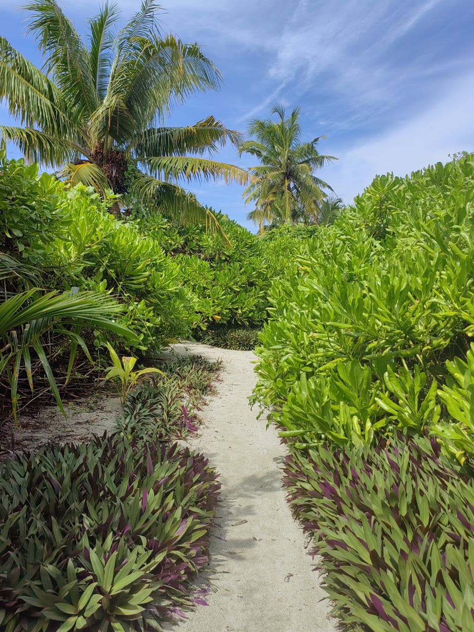 Активные Мальдивы - 7 островов (6/109)