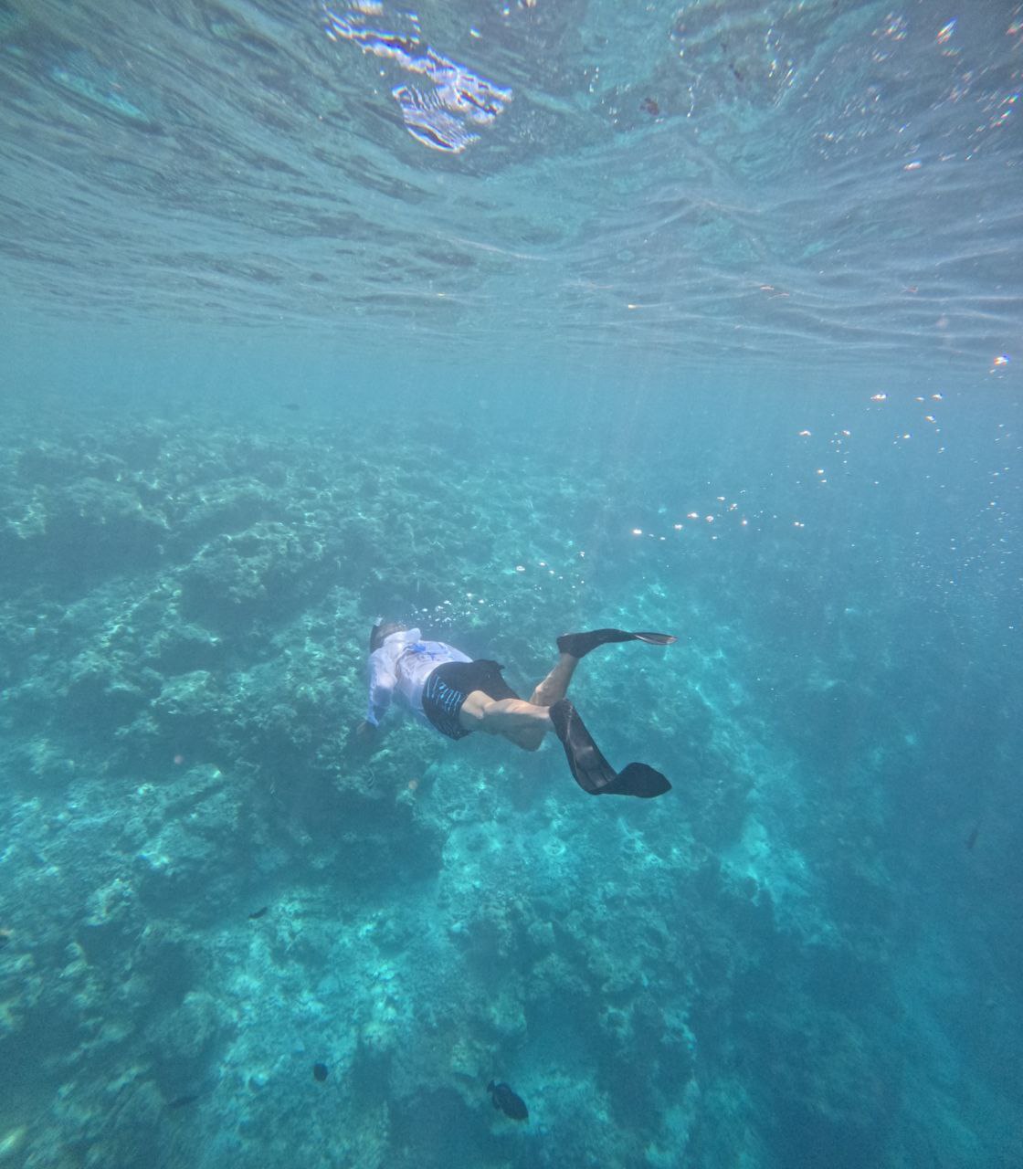 Активные Мальдивы - 7 островов (47/109)