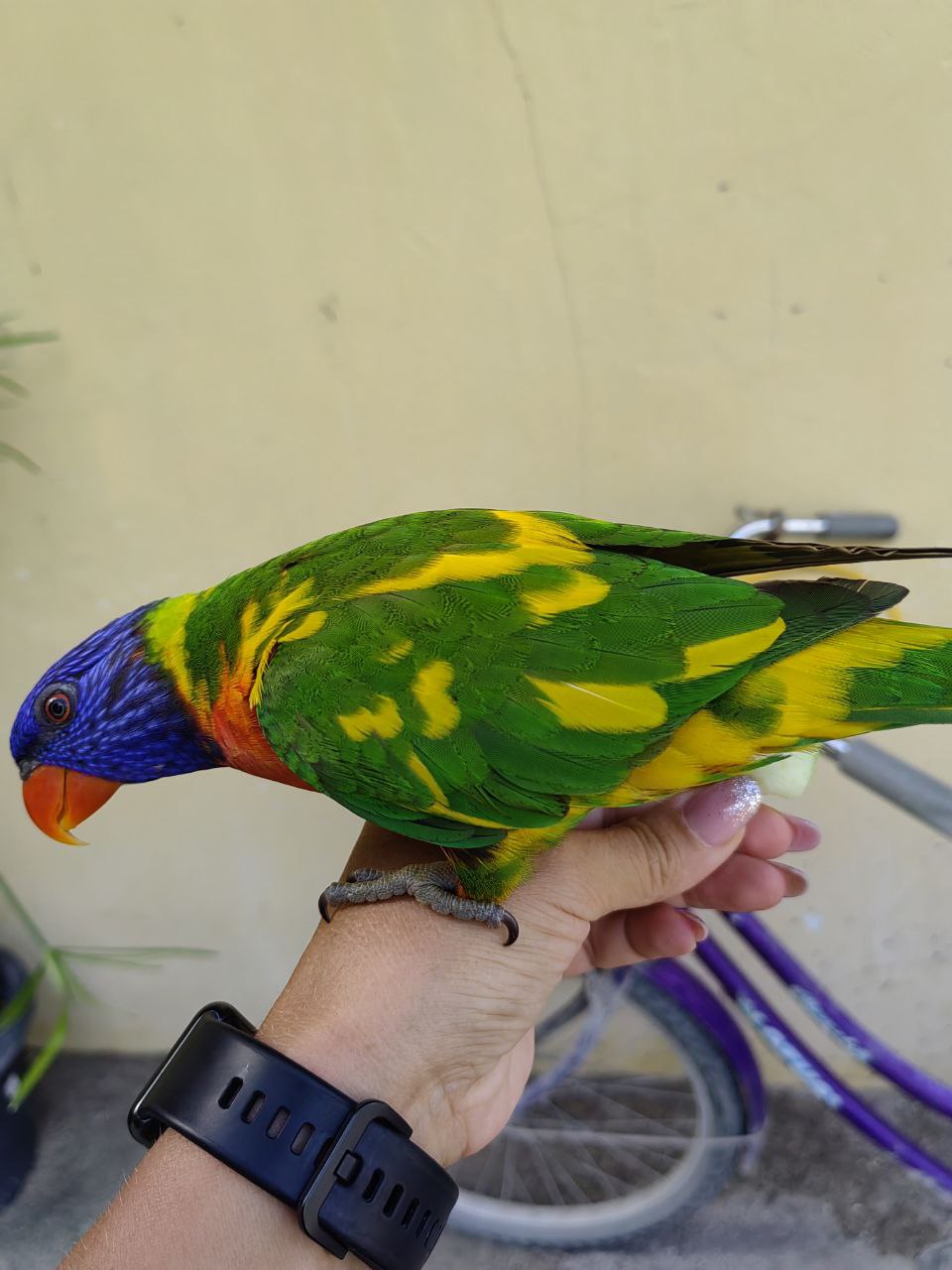 Активные Мальдивы - 7 островов (68/109)