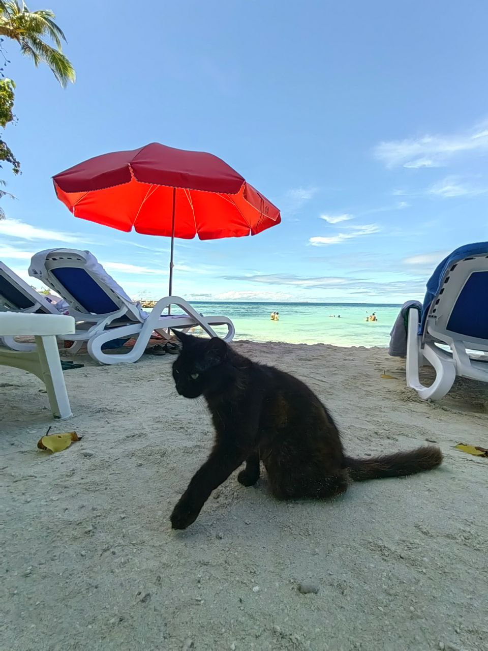 Активные Мальдивы - 7 островов (15/109)