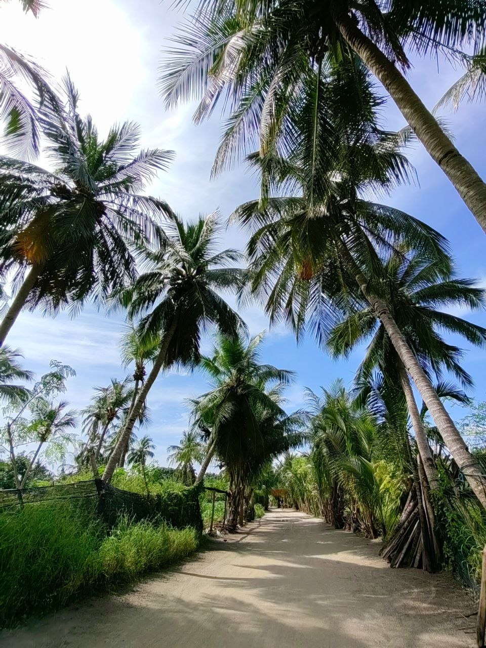 Активные Мальдивы - 7 островов (12/109)