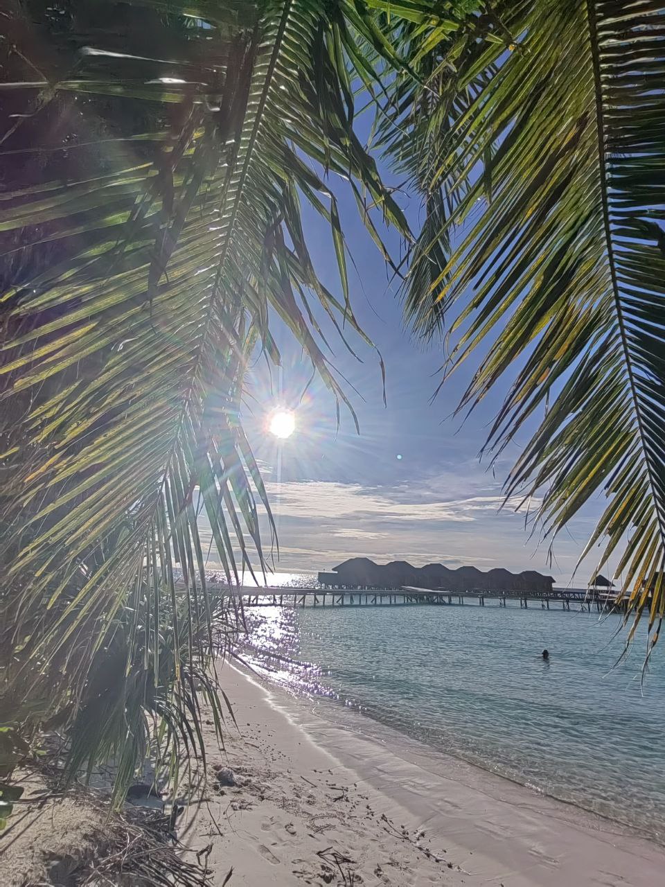 Активные Мальдивы - 7 островов (32/109)