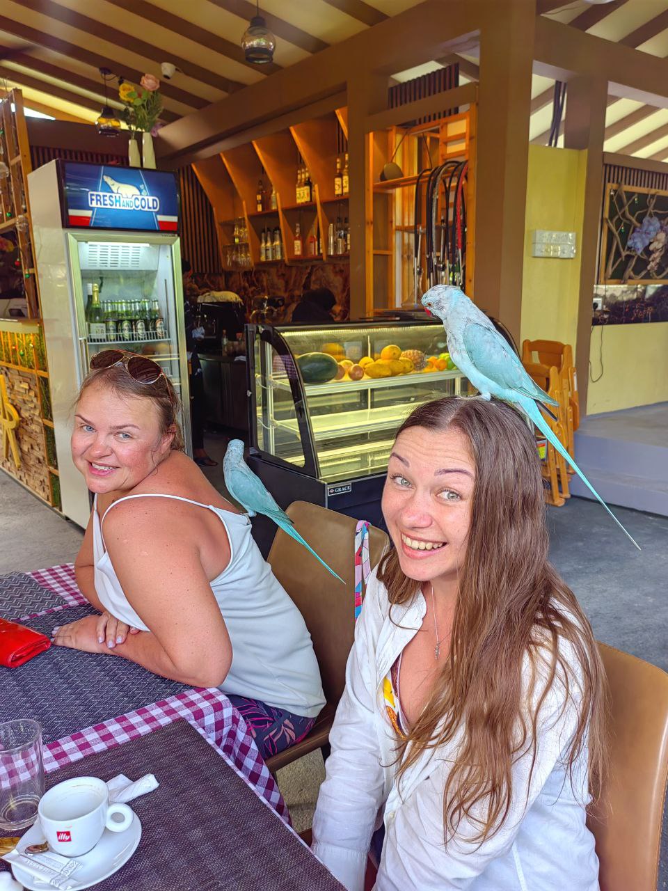 Активные Мальдивы - 7 островов (64/109)