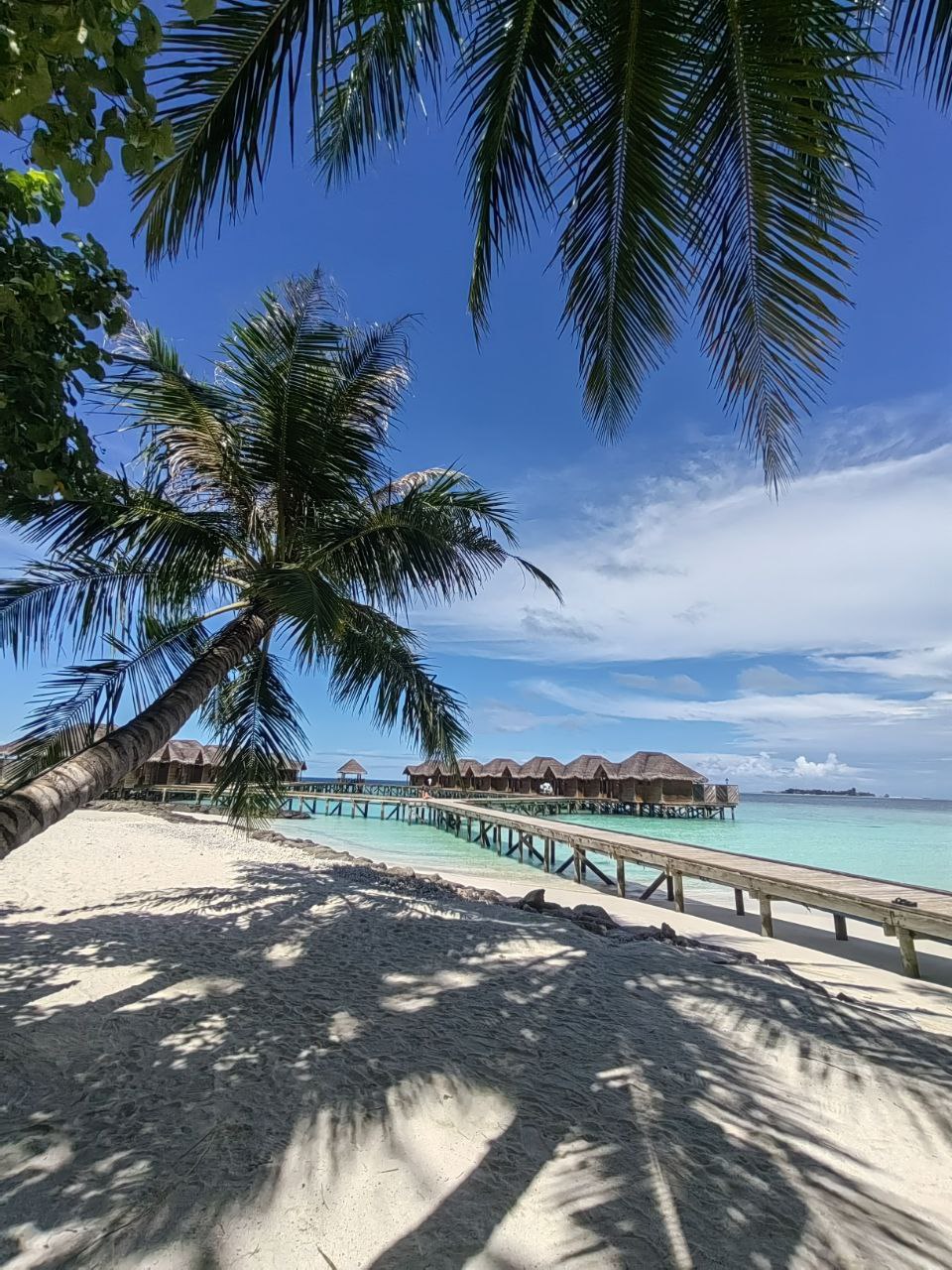 Активные Мальдивы - 7 островов (23/109)