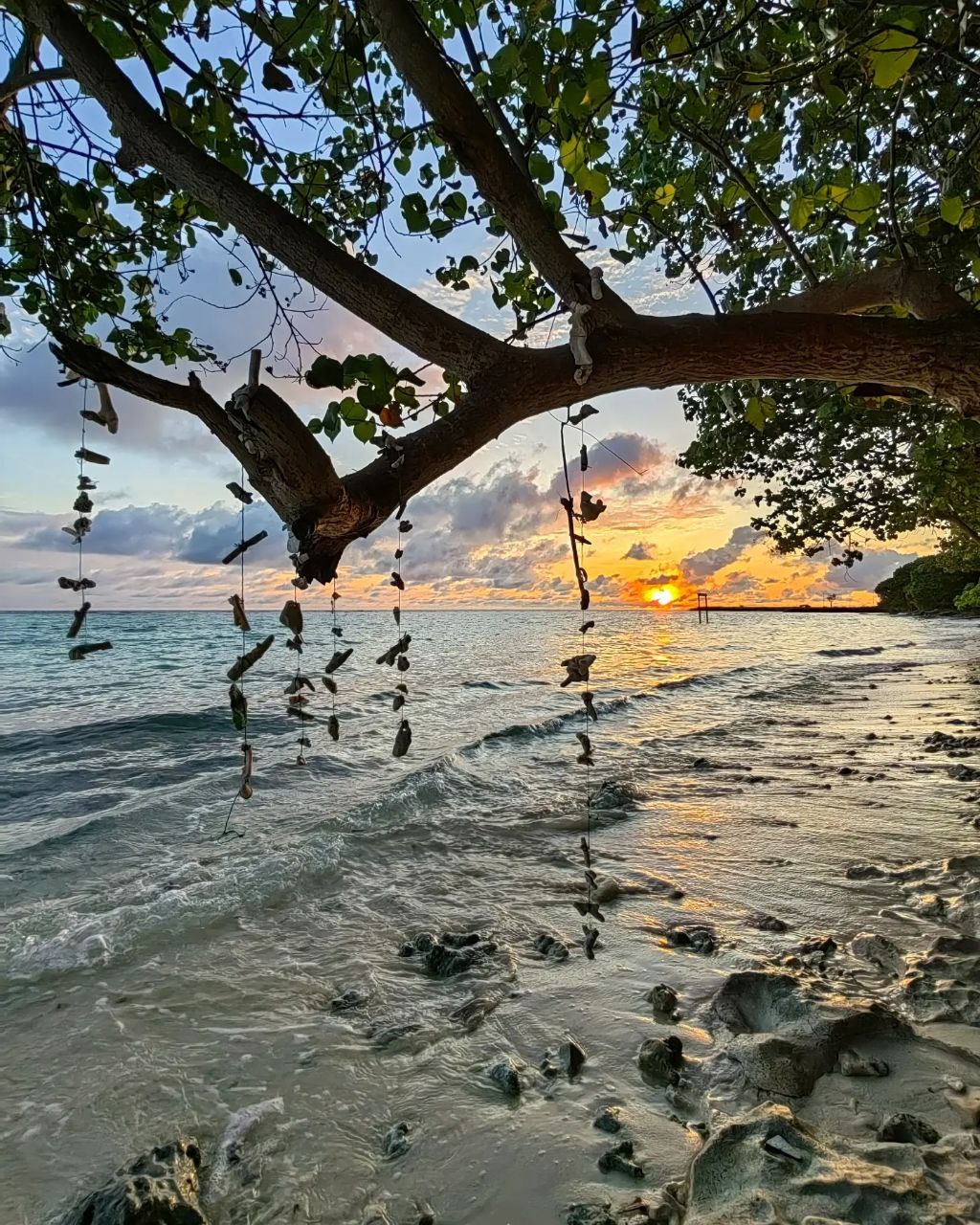 Активные Мальдивы - 7 островов (67/109)