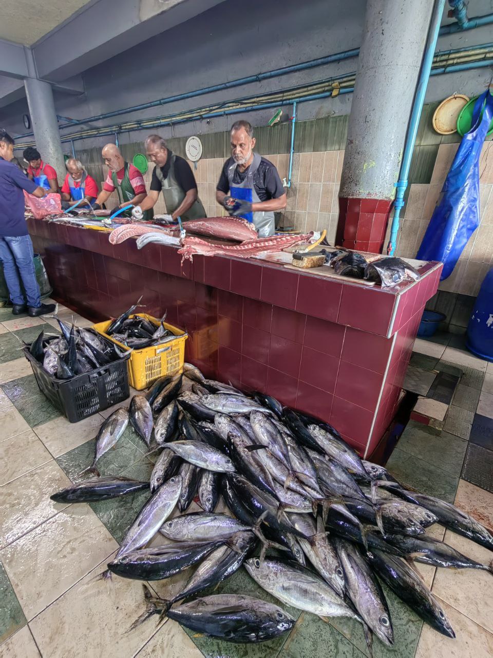 Активные Мальдивы - 7 островов (58/109)