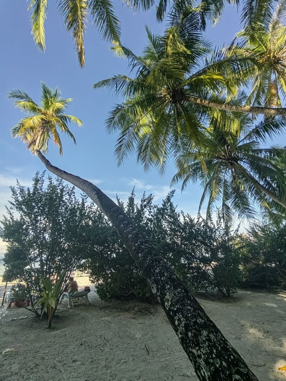 Активные Мальдивы - 7 островов (33/109)