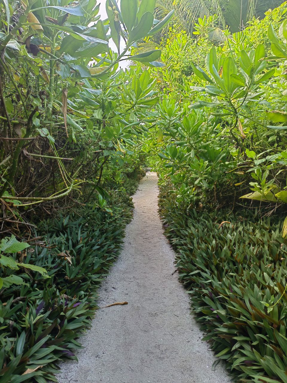 Активные Мальдивы - 7 островов (66/109)