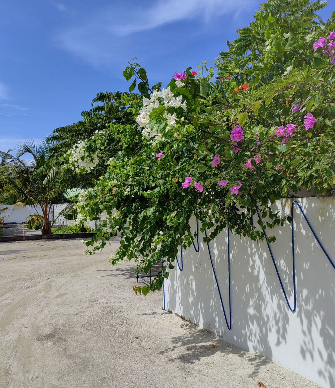 Активные Мальдивы - 7 островов (13/109)