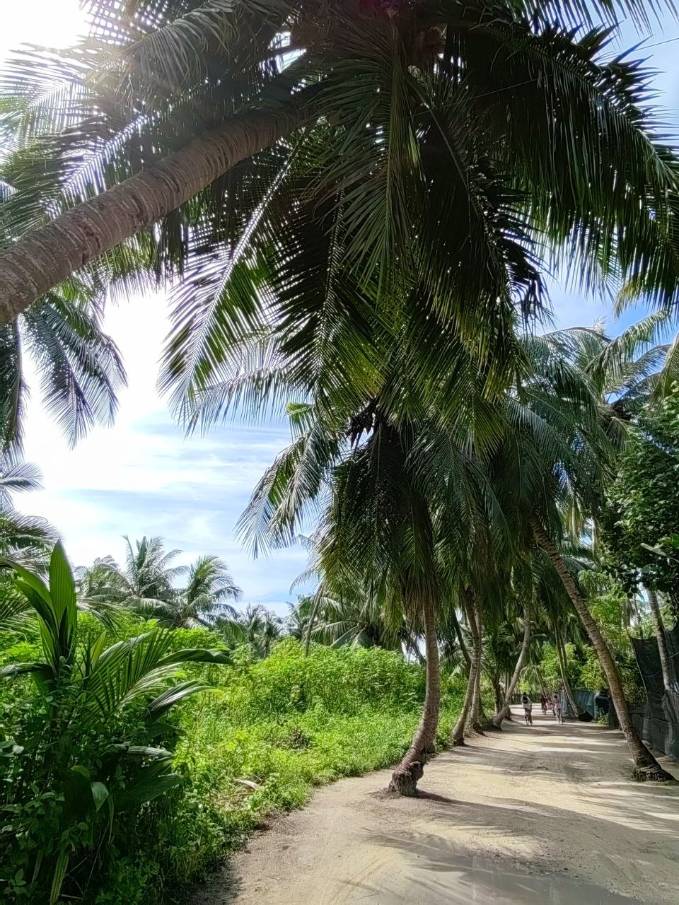 Активные Мальдивы - 7 островов (73/109)