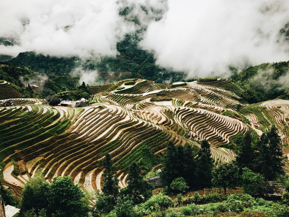 Многоликий Китай (12/82)