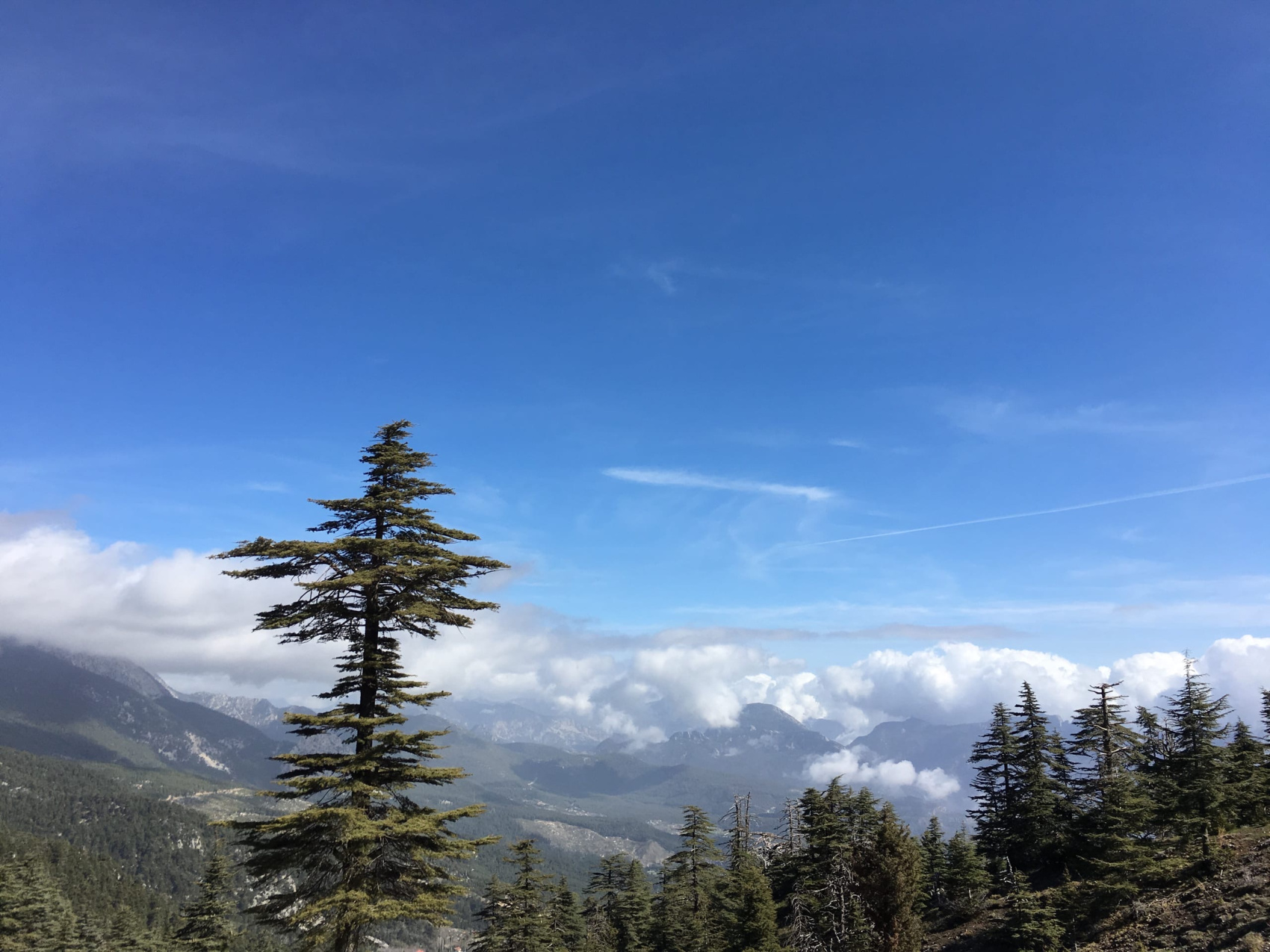 Другая Турция: автотур по побережью, бархатный сезон (14/45)