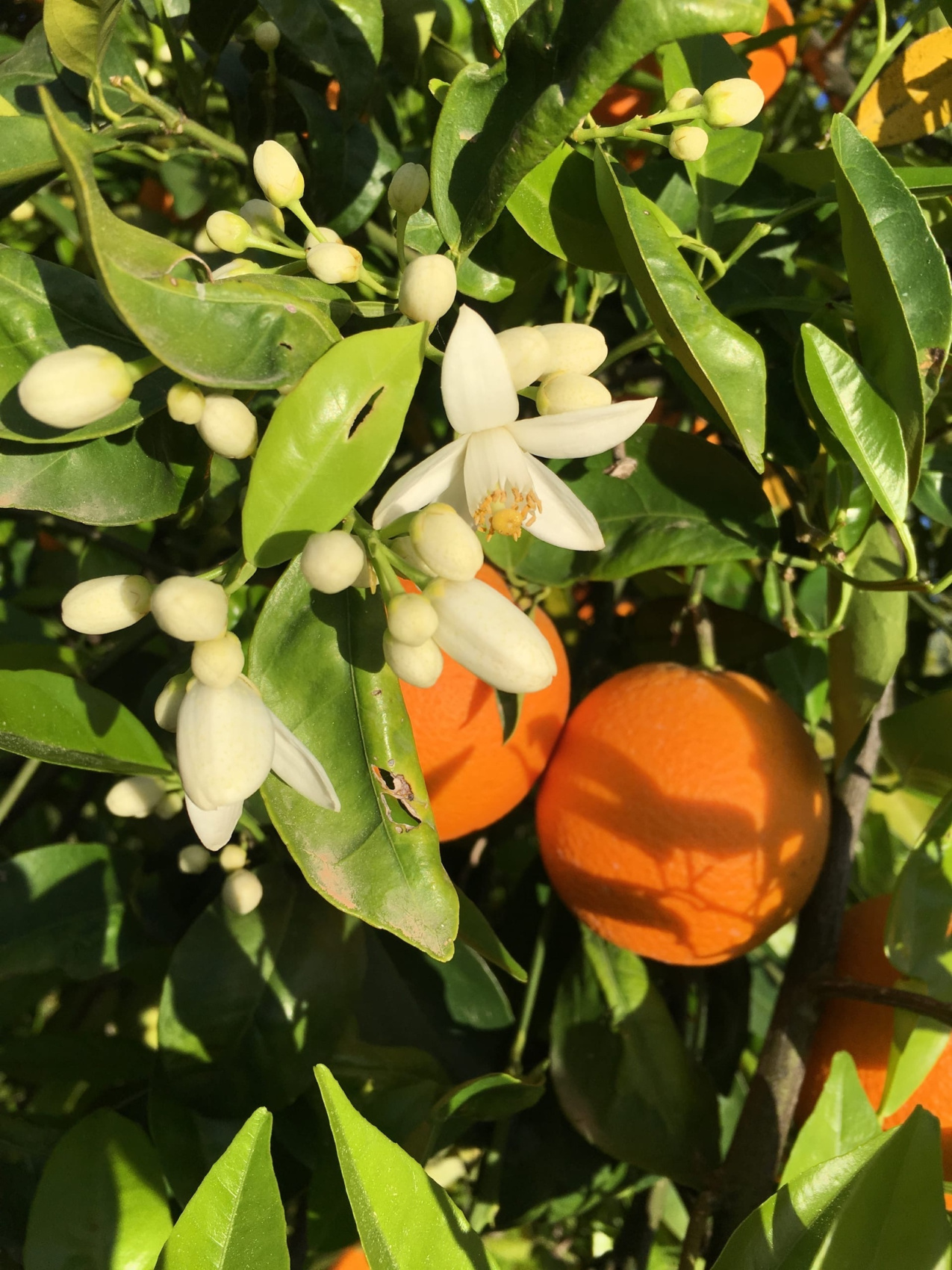 Другая Турция: автотур по побережью, бархатный сезон (9/45)