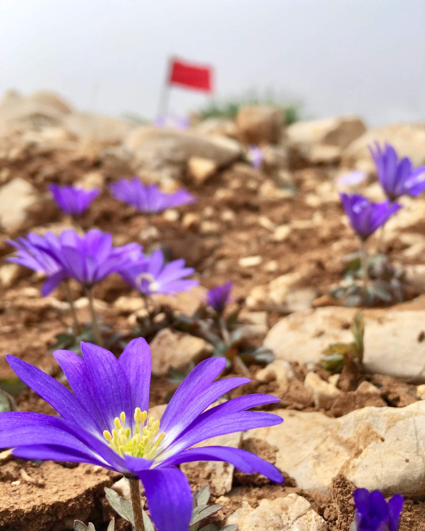 Другая Турция: автотур по побережью, бархатный сезон (8/45)