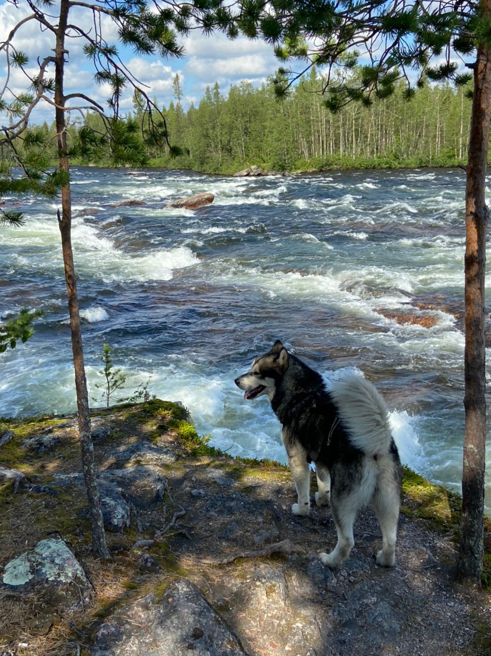 Умба: путь от гор к морю. (9/31)