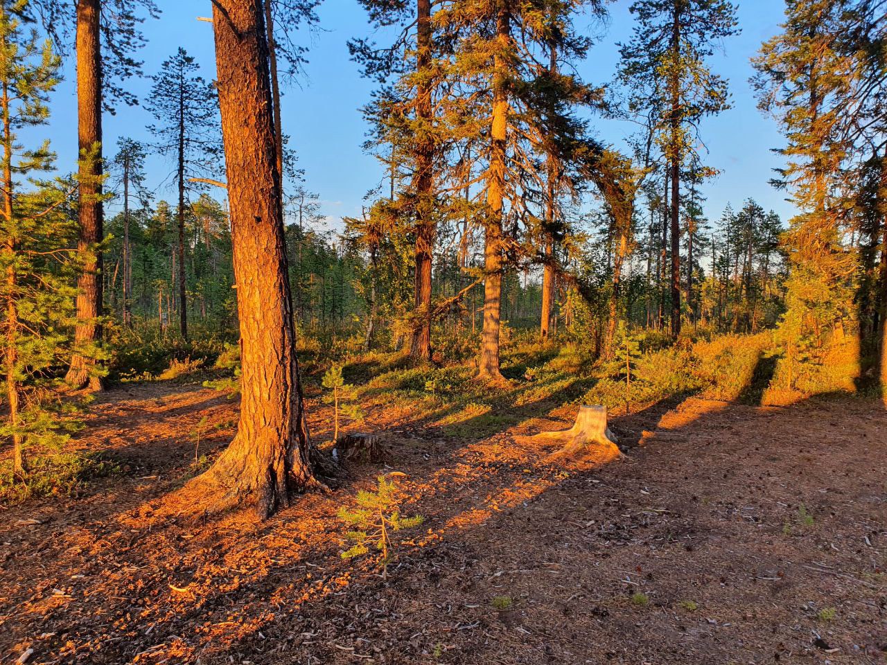 Умба: путь от гор к морю. (3/31)