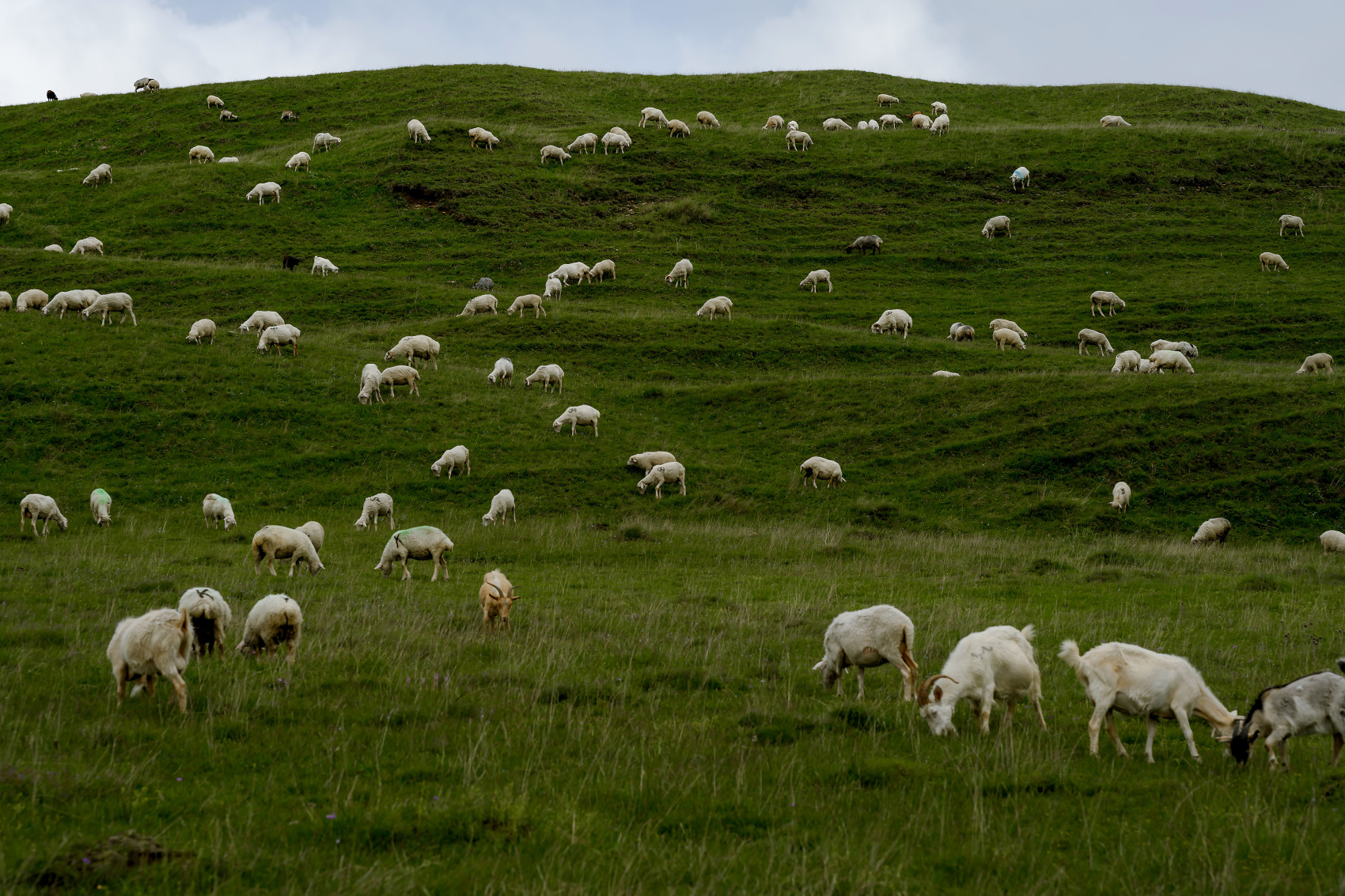 Комфорт тур в Дагестан. 5 дней активности и перезагрузки (17/75)