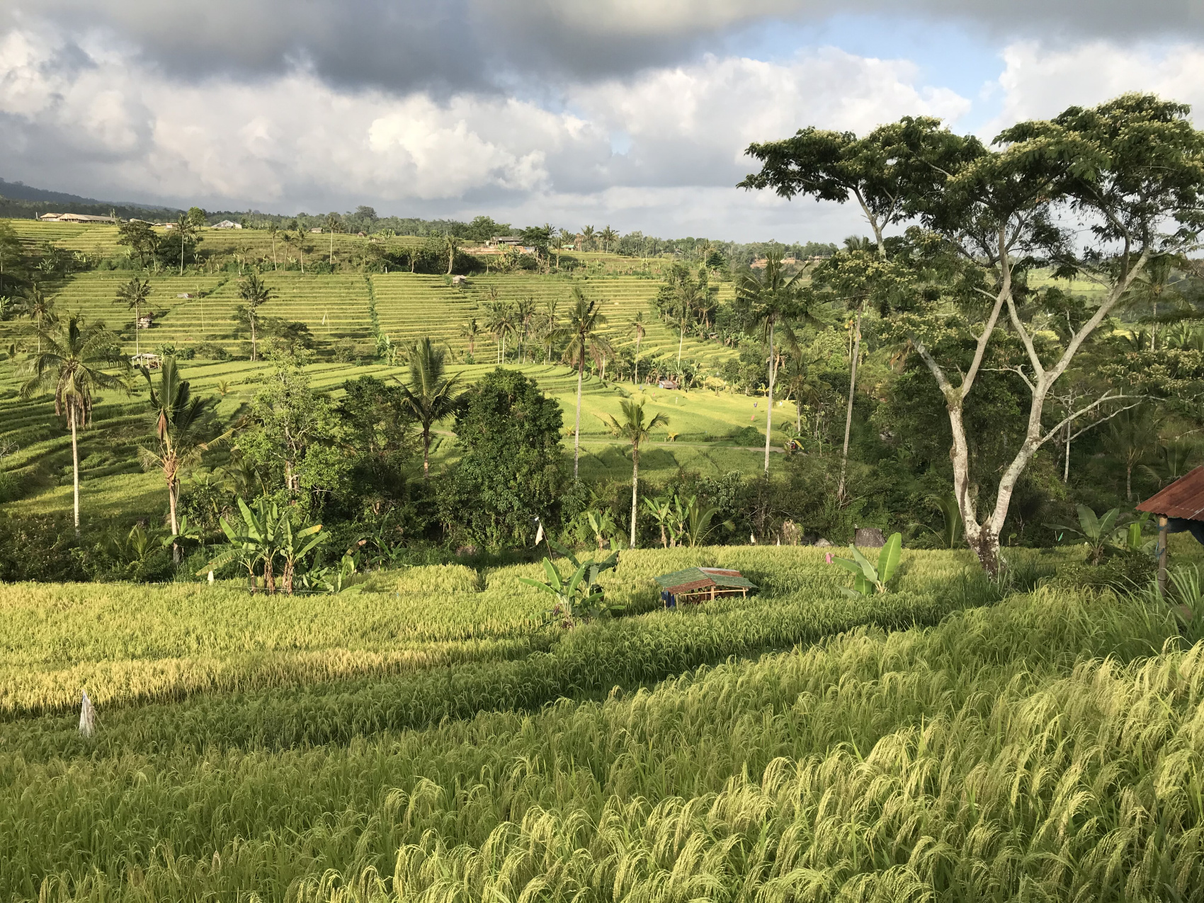 Бали, Нуса Пенида и вулканы острова Ява (2/47)