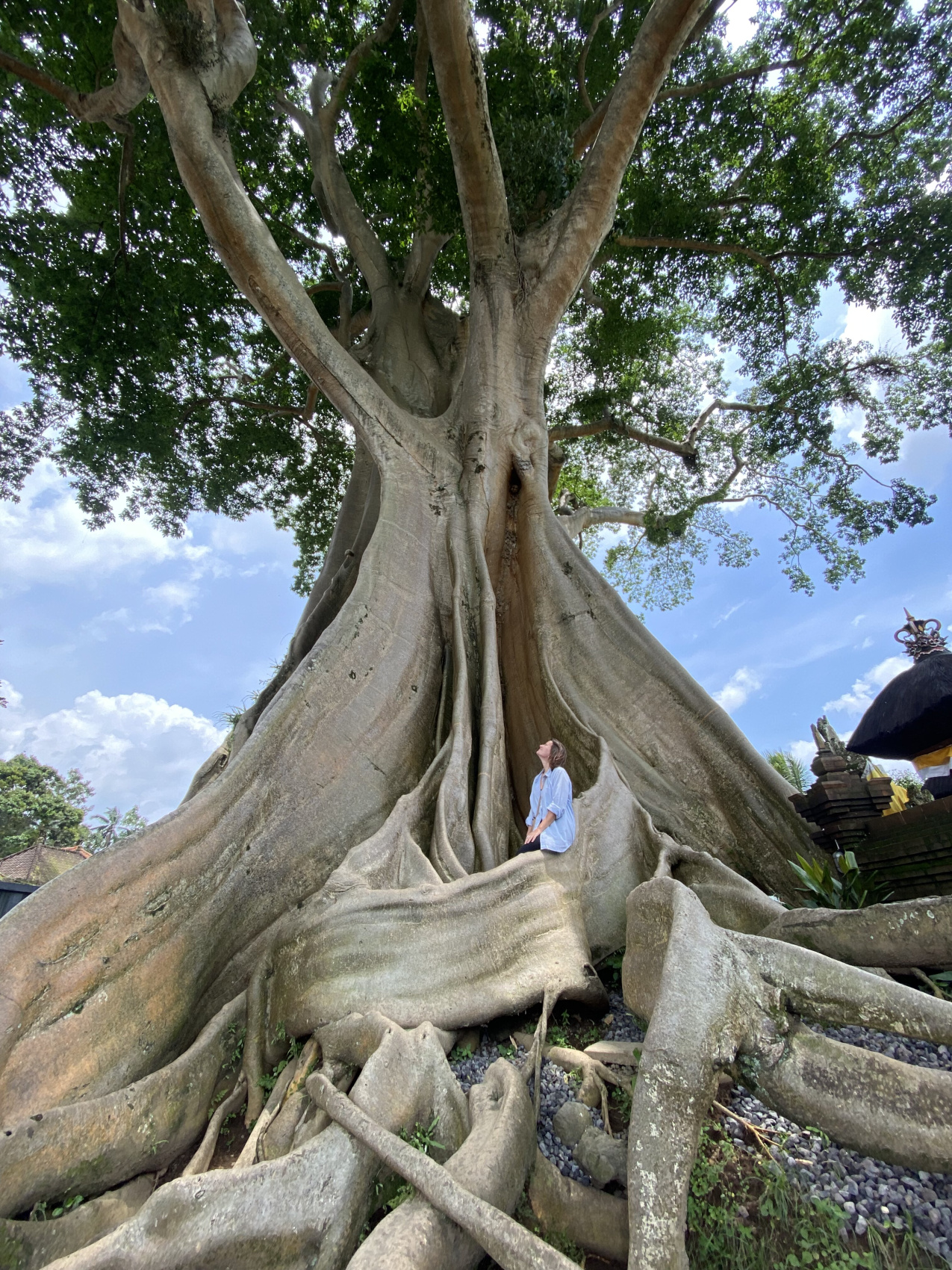 Бали, Нуса Пенида и вулканы острова Ява (5/47)