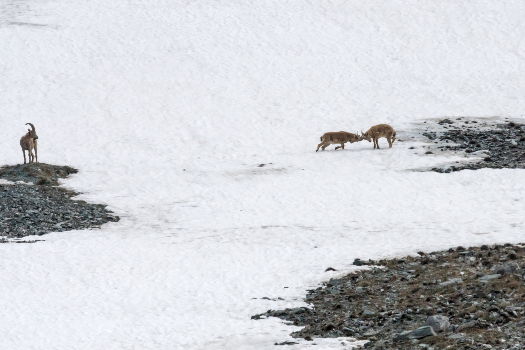 Фанские горы + Самарканд и Хива, трекинг налегке (3/58)