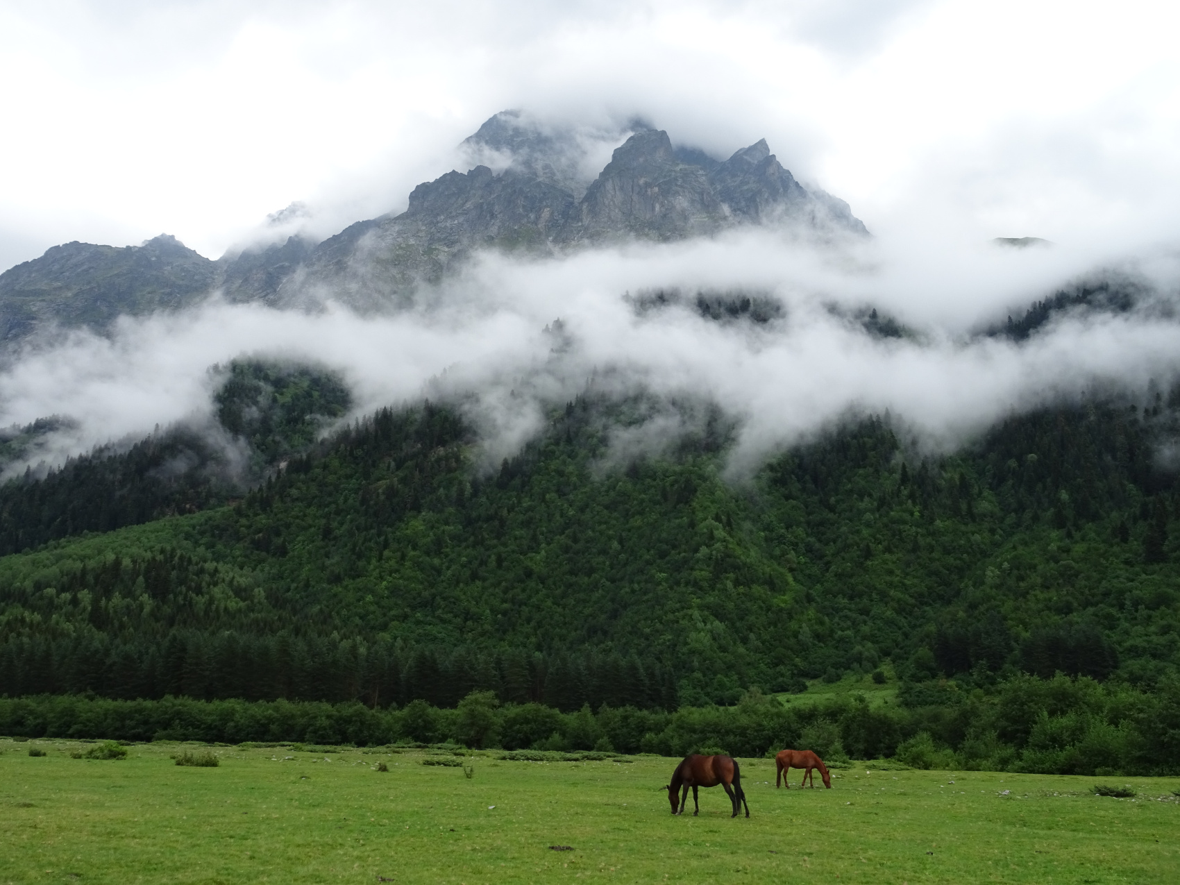 Вся Сванетия (Грузия) за 8 дней - топ треки с комфортом (6/43)