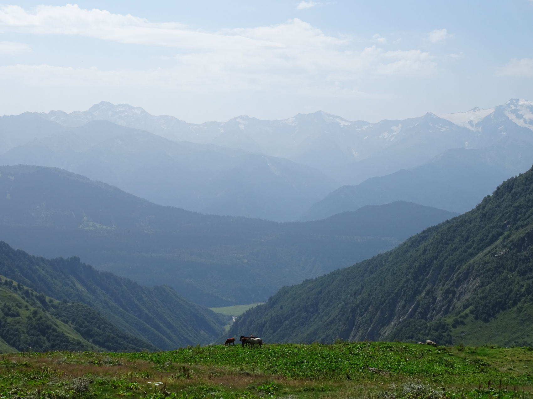 Вся Сванетия (Грузия) за 8 дней - топ треки с комфортом (10/43)
