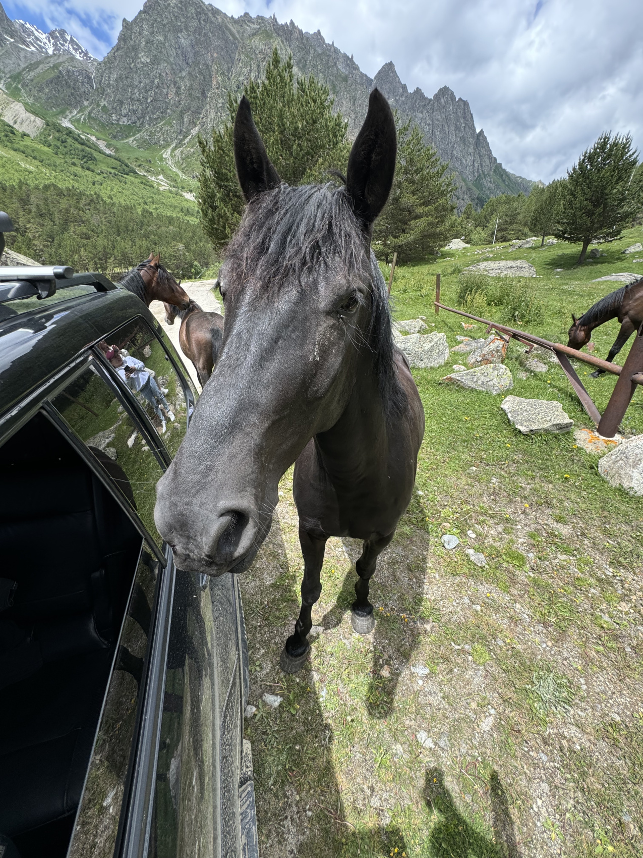 Эль Тур (Эльбрус) (53/73)