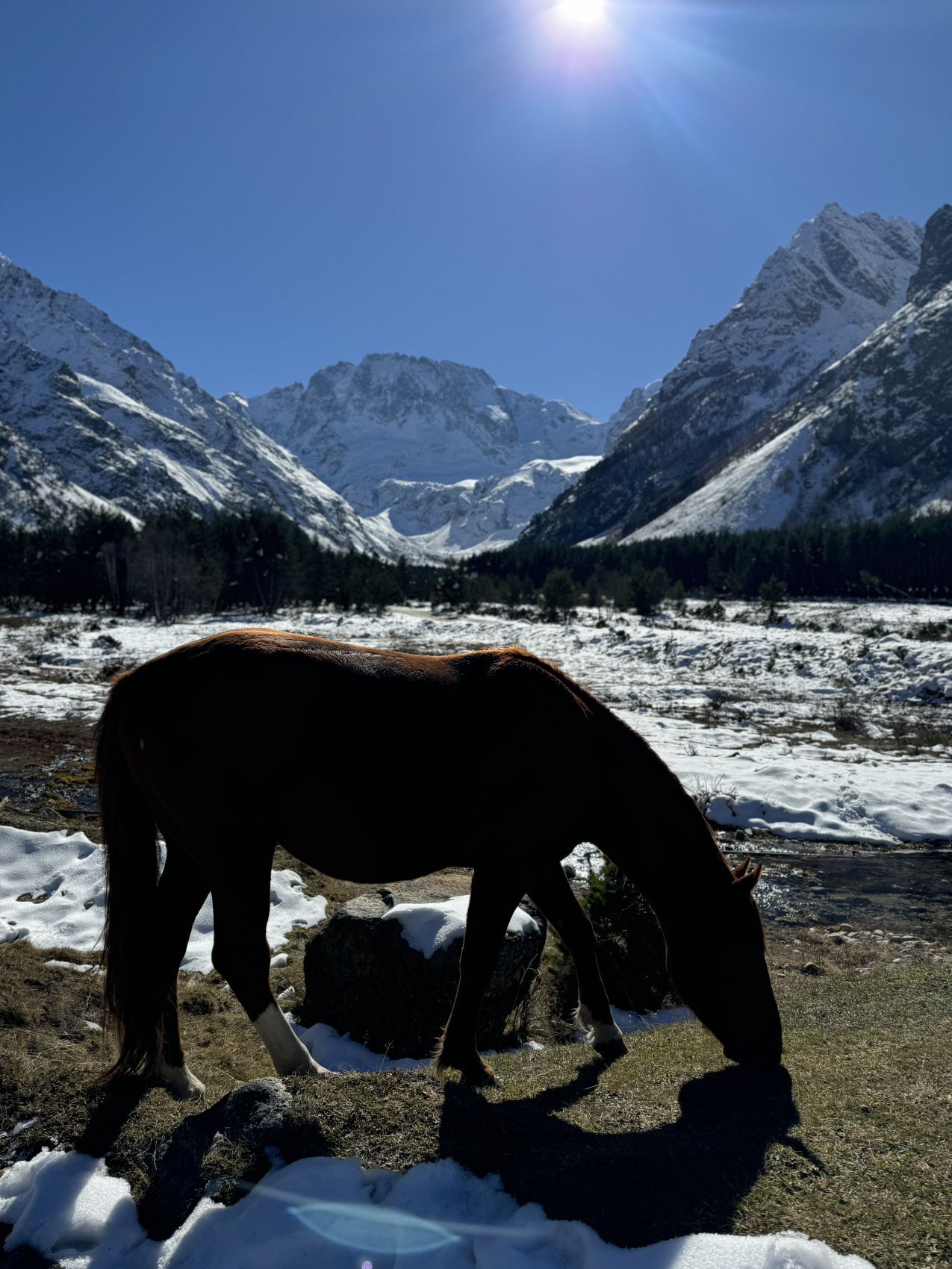 Эль Тур (Эльбрус) (25/73)