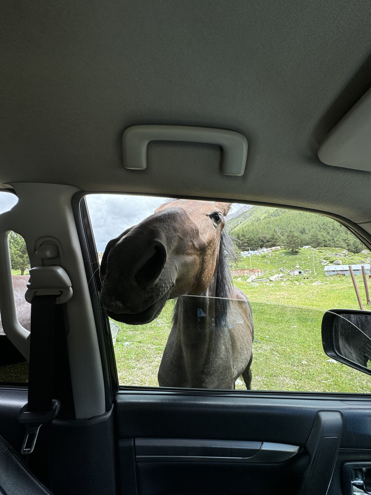 Эль Тур (Эльбрус) (54/73)