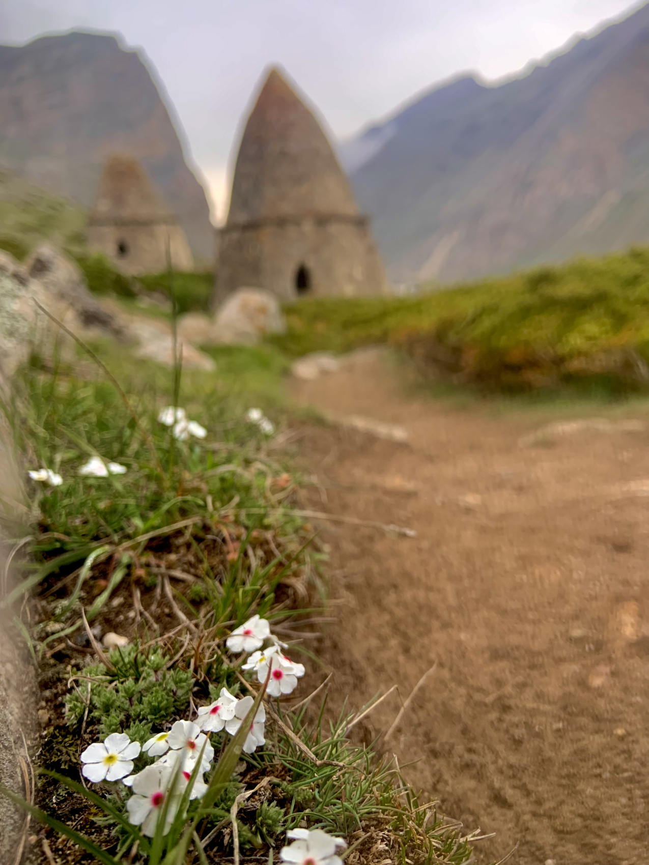 Эль Тур (Эльбрус) (10/73)