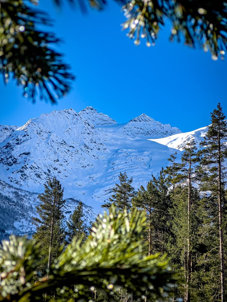 Эль Тур (Эльбрус) (15/73)