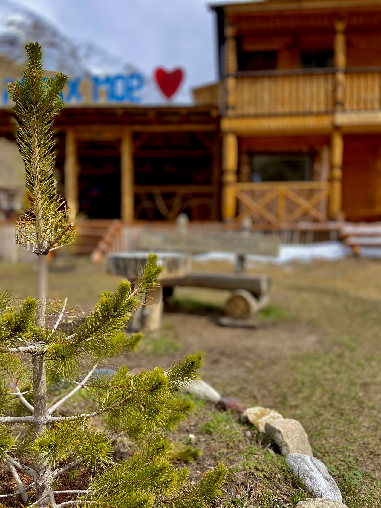 Эль Тур (Эльбрус) (12/73)